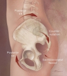 Pelvic Tilt Pelvic Tilt