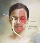 1_Woman-and-Facial-Mm-w-Probe 1_Woman-and-Facial-Mm-w-Probe