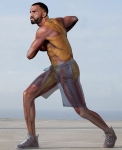 Core Muscles Core Muscles