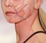 DAO3-and-Facial-A-V DAO3-and-Facial-A-V