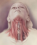 Muscles of the Anterior Neck Muscles of the Anterior Neck