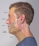 Facial-Nerve-Injury Facial-Nerve-Injury