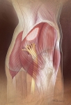High Volume Injection Site High Volume Injection Site