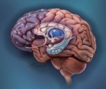 Mental and Personality Disorders