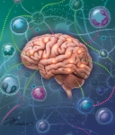NeuroImmunology NeuroImmunology