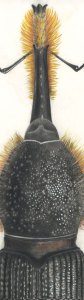 4-Entomologysmall