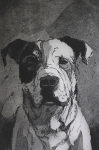 Frankie - Intaglio Print Frankie - Intaglio Print