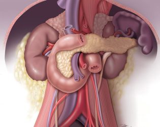 Retroperitoneal Structures