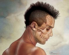 Head and Neck Anatomy