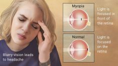 Google Health Search © - Myopia
